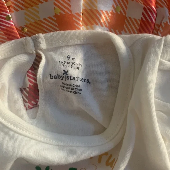 Baby Starters - Rashti & Rashti - Thanksgiving Dress with attached onesie - 9 M - Picture 5 of 16